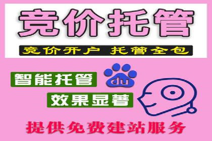 百度SEO推广成功案例：品牌知名度提升